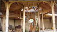 CLICK HERE TO PLAY GRAND DESIGNS: Cambridgeshire
